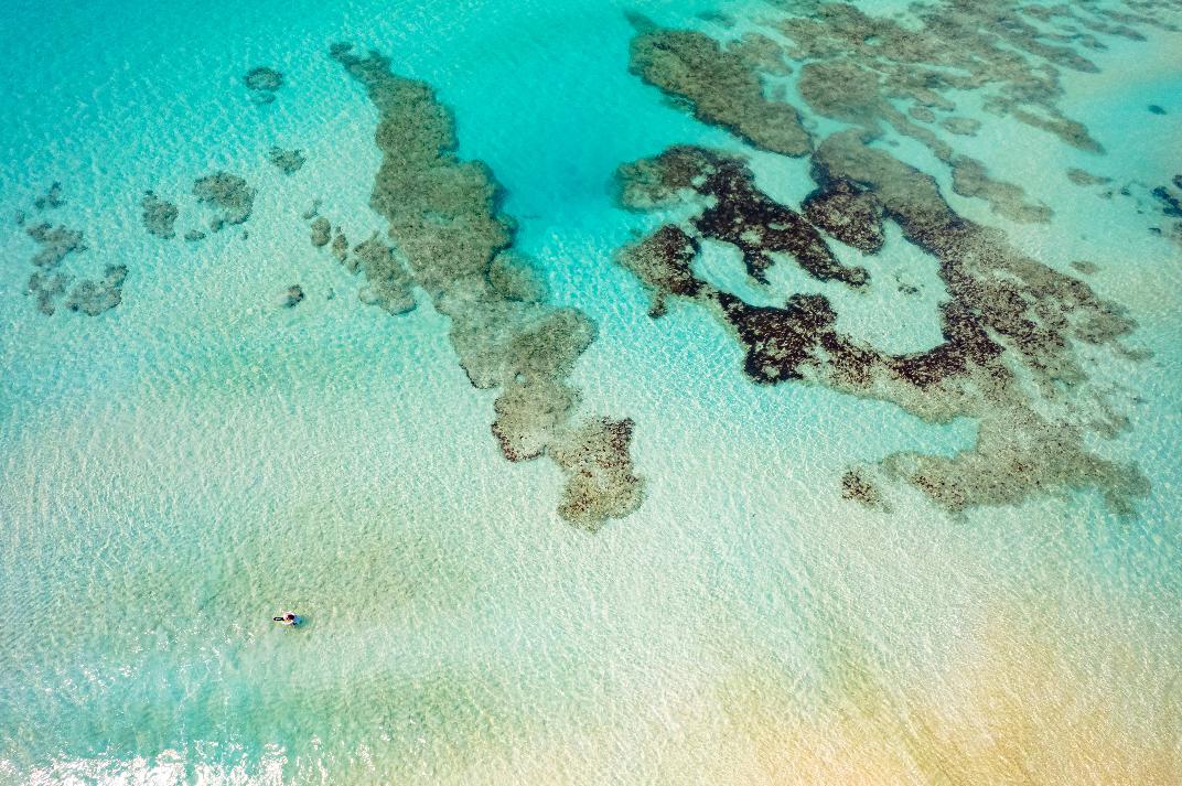 【나하출발！케라마제도・치비시제도전세 크루즈전세 파티플랜