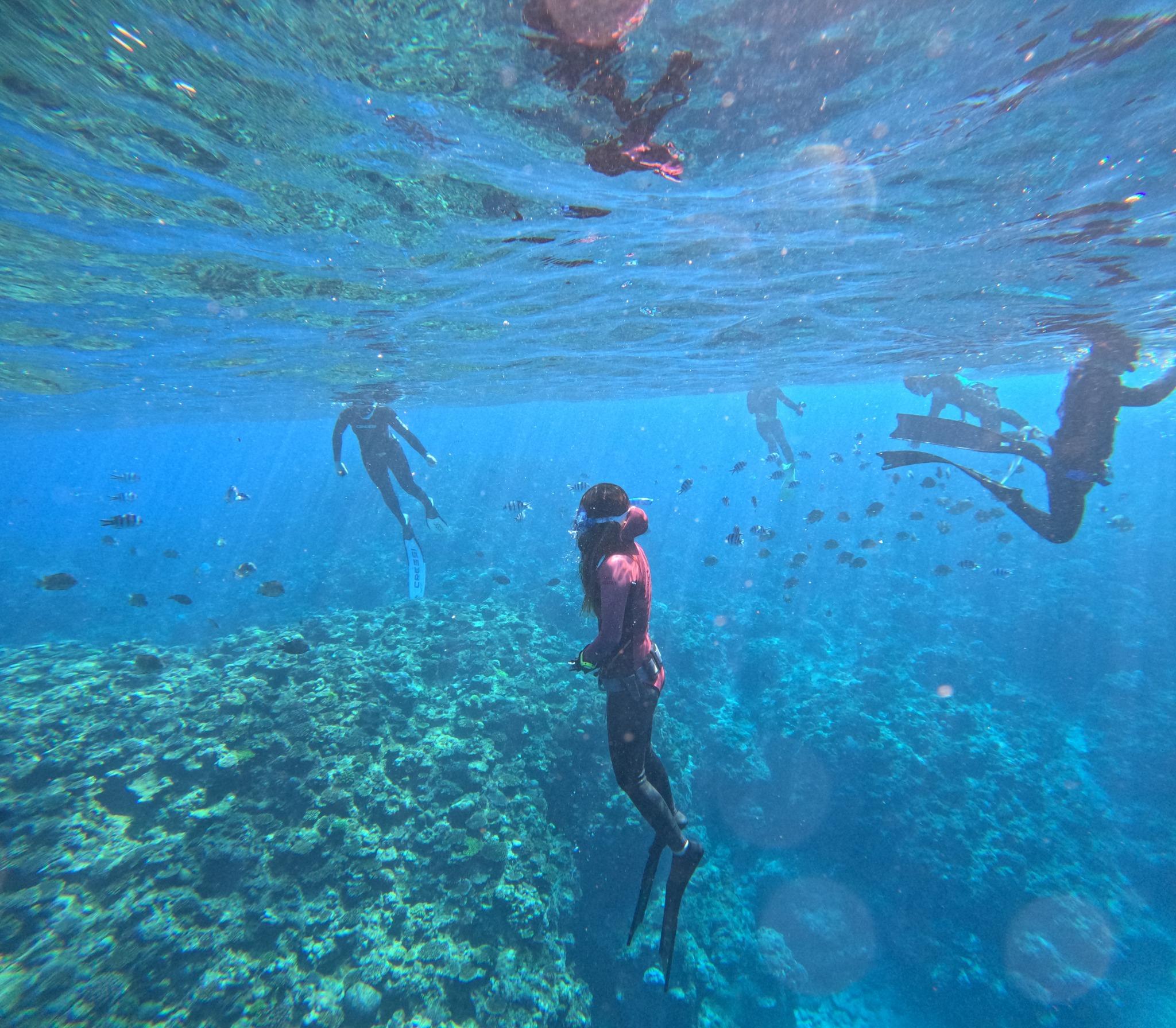 Freediving Experience 1