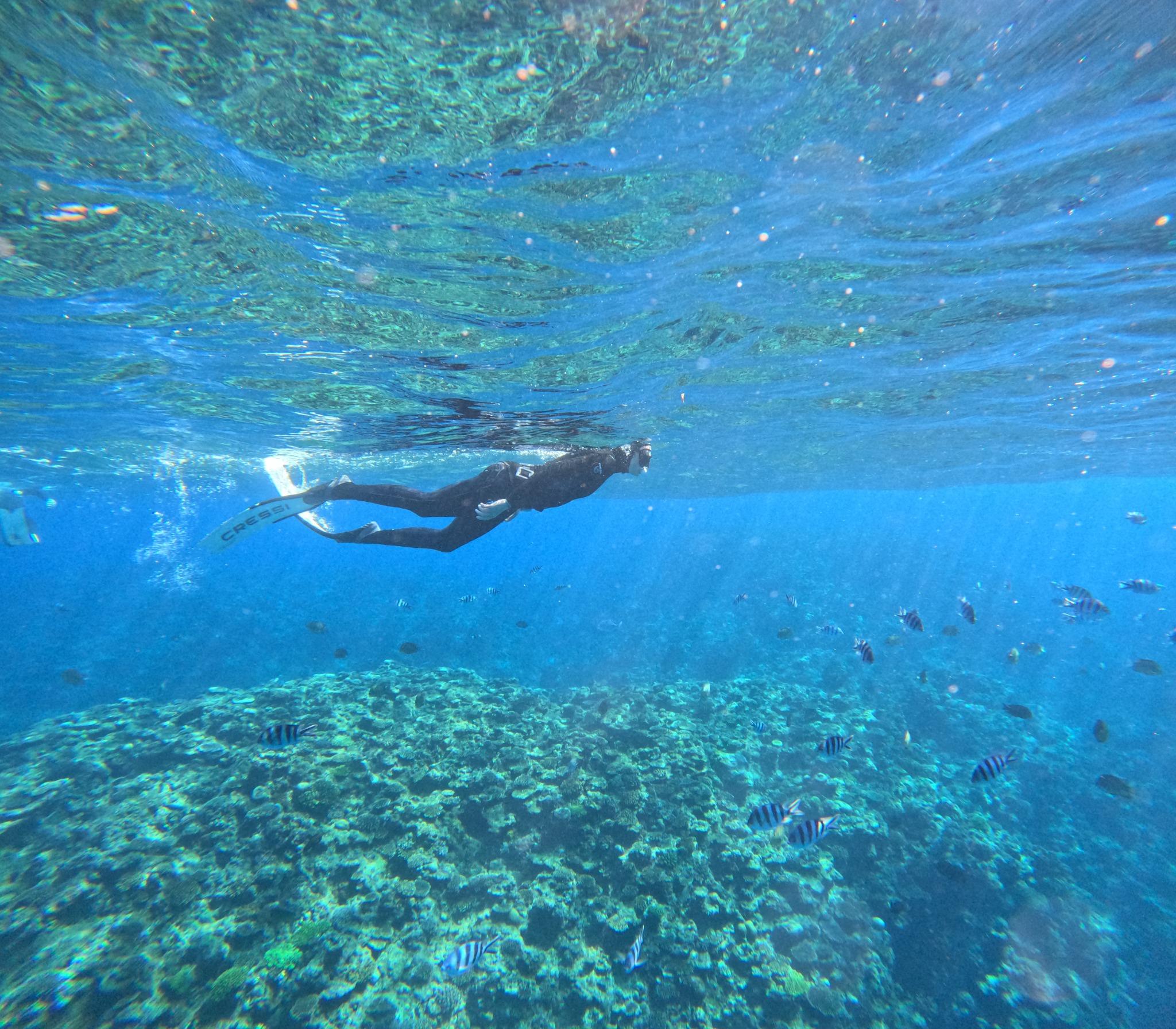 Freediving Experience 3