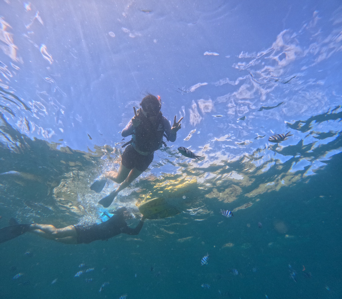 푸른동굴 스노클링 4