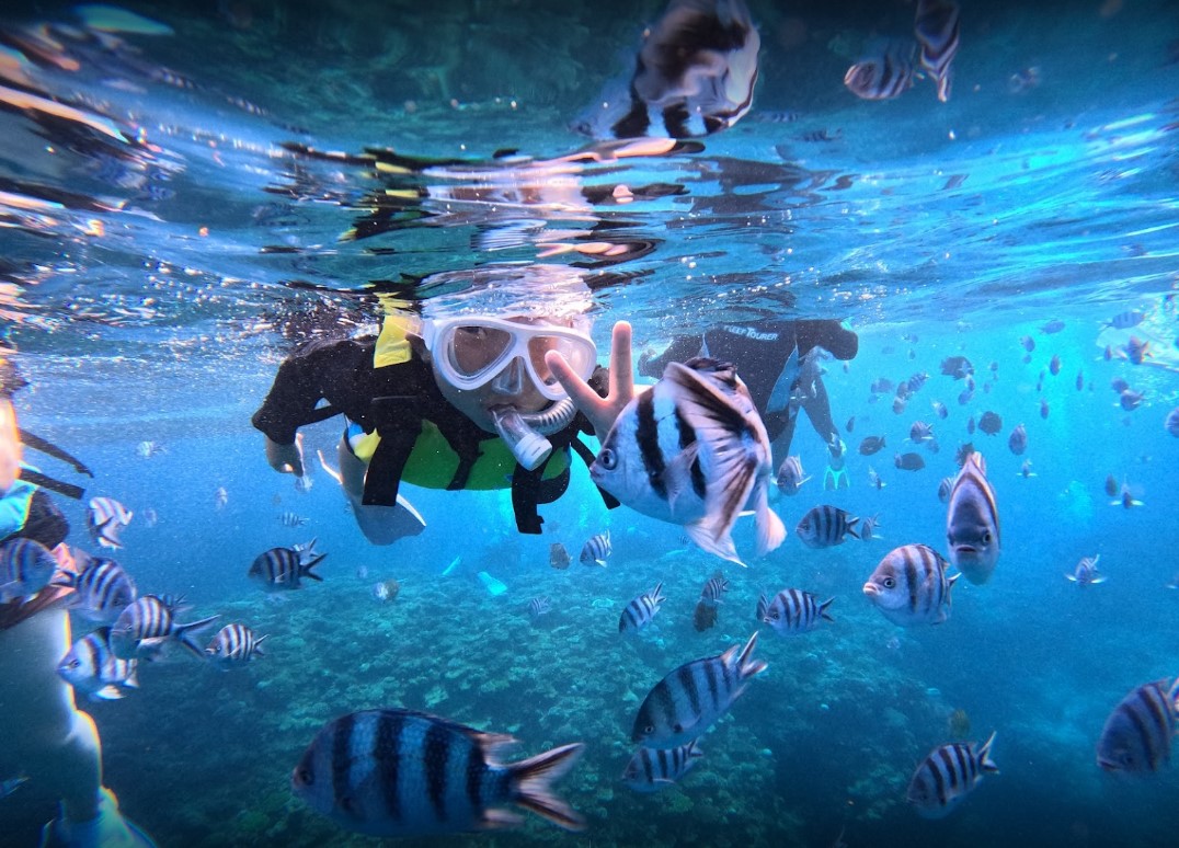 푸른동굴 스노클링 8