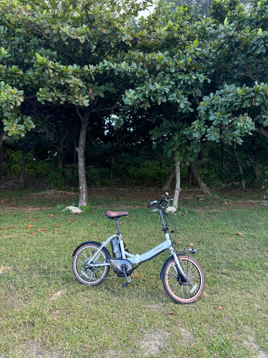 電動アシスト自転車