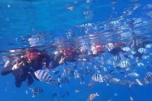 [한국어진행] Luli okinawa 푸른동굴 보트스노클링