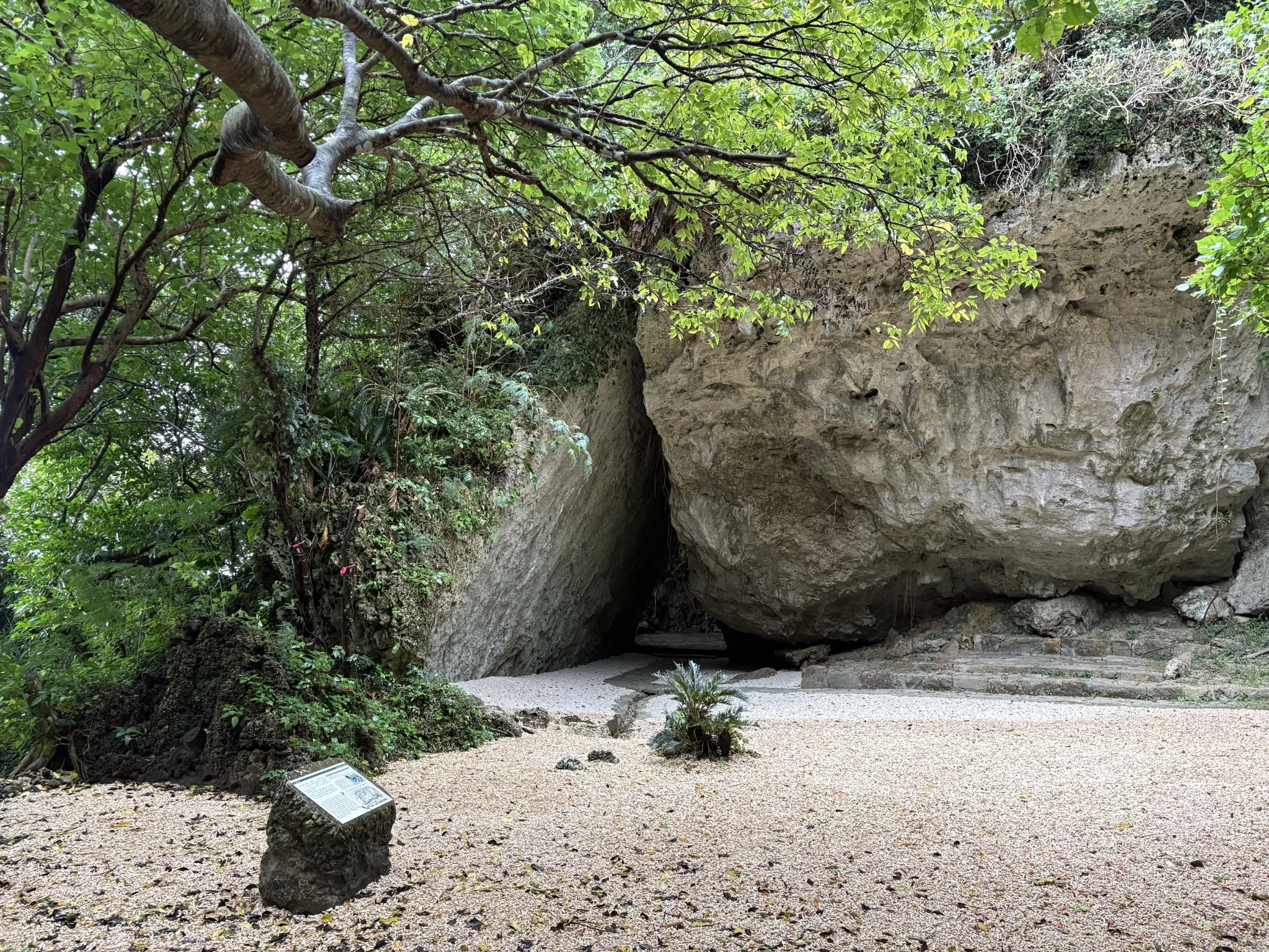 斎場御嶽 완벽 가이드: 오키나와 최고의 성지를 방문하기 전 알아야 할 모든 것