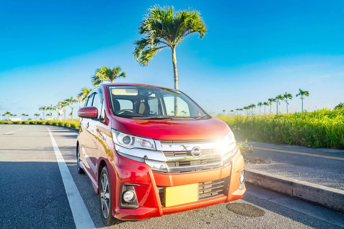 NISSAN (닛산) DAYZ